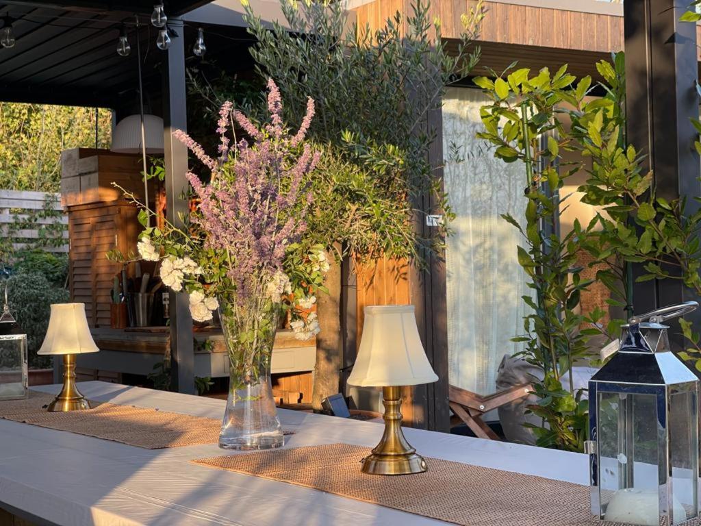Dragonfly Glamping Spa Retreat Ashford  Buitenkant foto