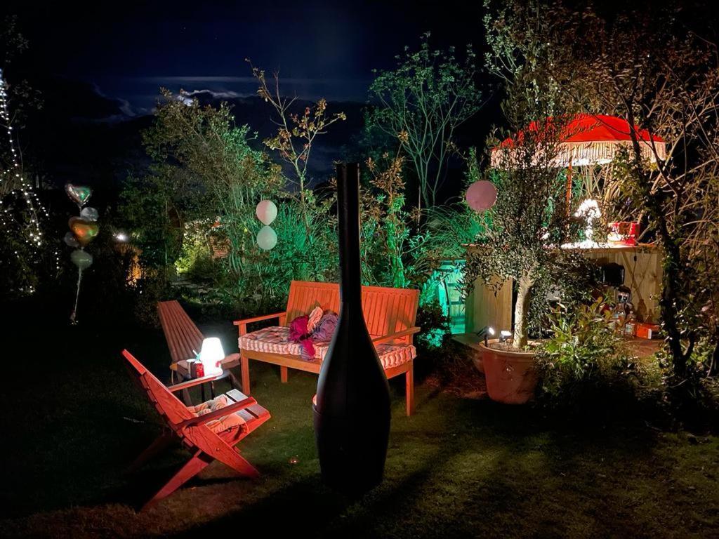 Dragonfly Glamping Spa Retreat Ashford  Buitenkant foto
