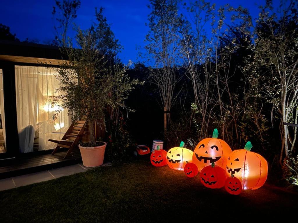 Dragonfly Glamping Spa Retreat Ashford  Buitenkant foto