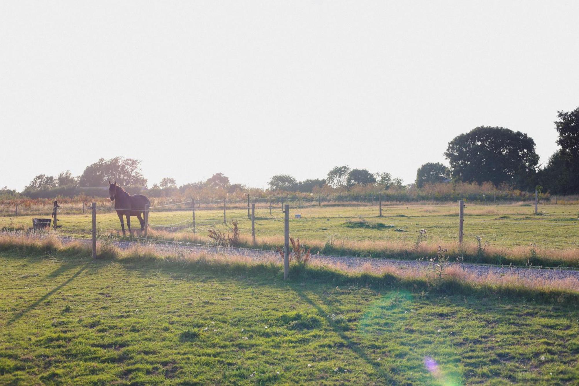 Dragonfly Glamping Spa Retreat Ashford  Buitenkant foto